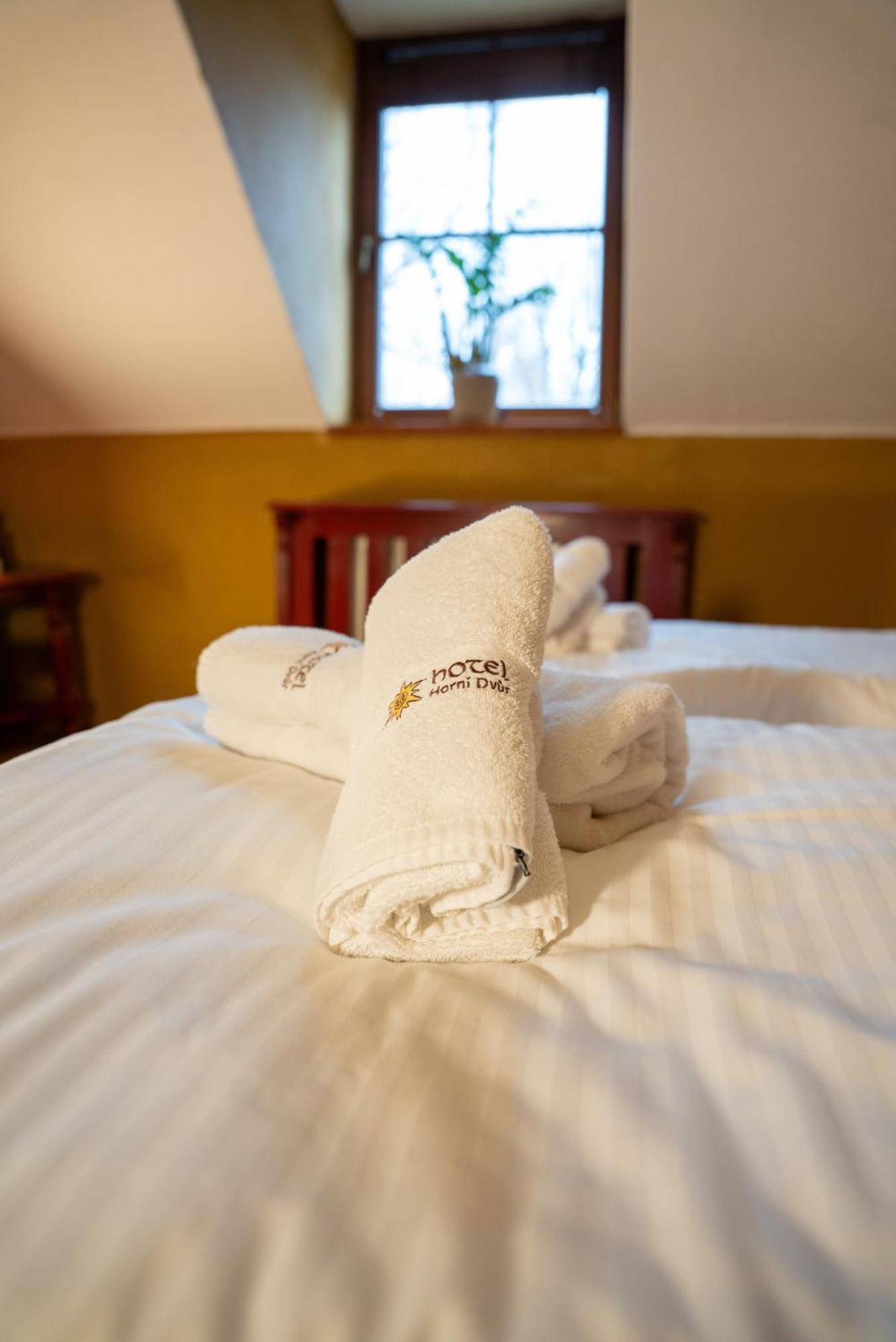 Hotel Horni Dvur Nove Mesto na Morave Eksteriør bilde